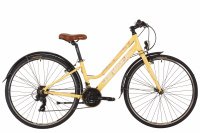 DEWOLF ASPHALT FR 2019