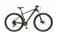 STINGER Genesis D 29 2017