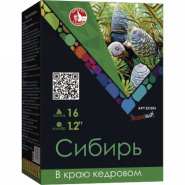 Батарея салютов Сибирь, 16 залпов, EC093