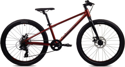 ASPECT Winner Lite 24 2024