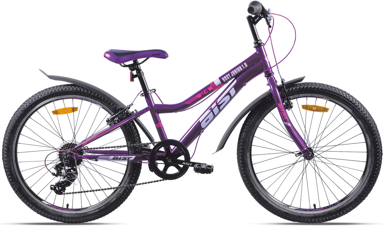 Велосипед AIST Rosy Junior 1.0 24 2025