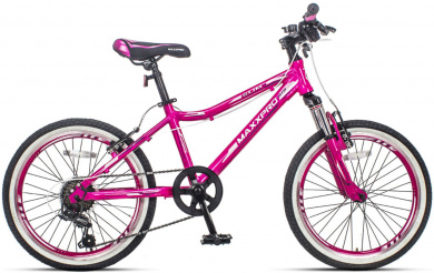 MAXXPRO Slim 20 2022