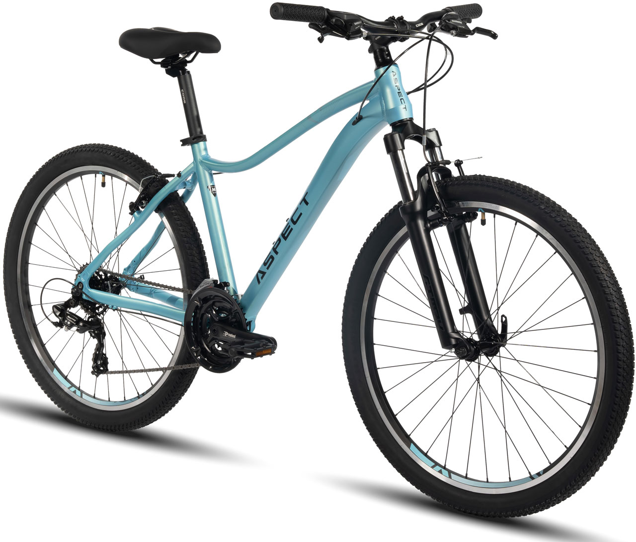 ASPECT Oasis 26 2024