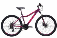 DEWOLF Ridly 30 W 2019