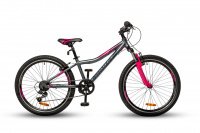 HORST Fancy 24 2020