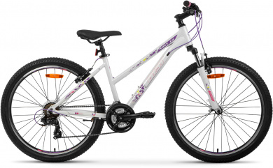 AIST Rosy 1.0 26 2021