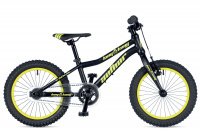 AUTHOR KING KONG 16 2019