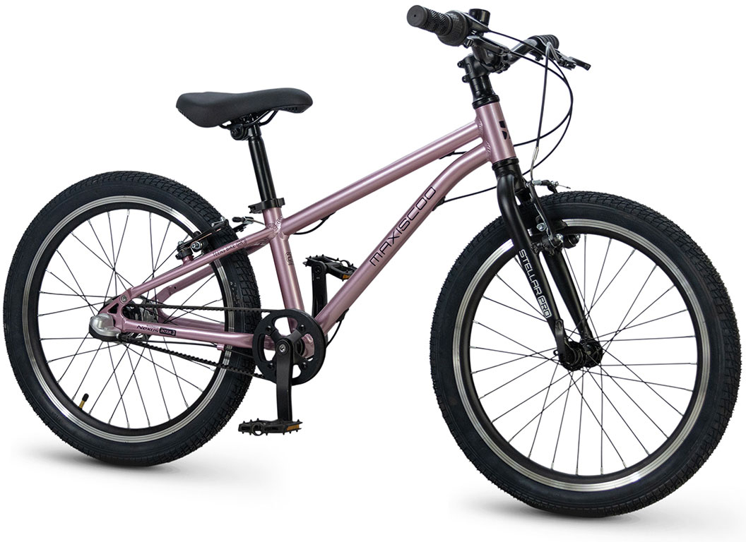 MAXISCOO Stellar Pro 20 2026