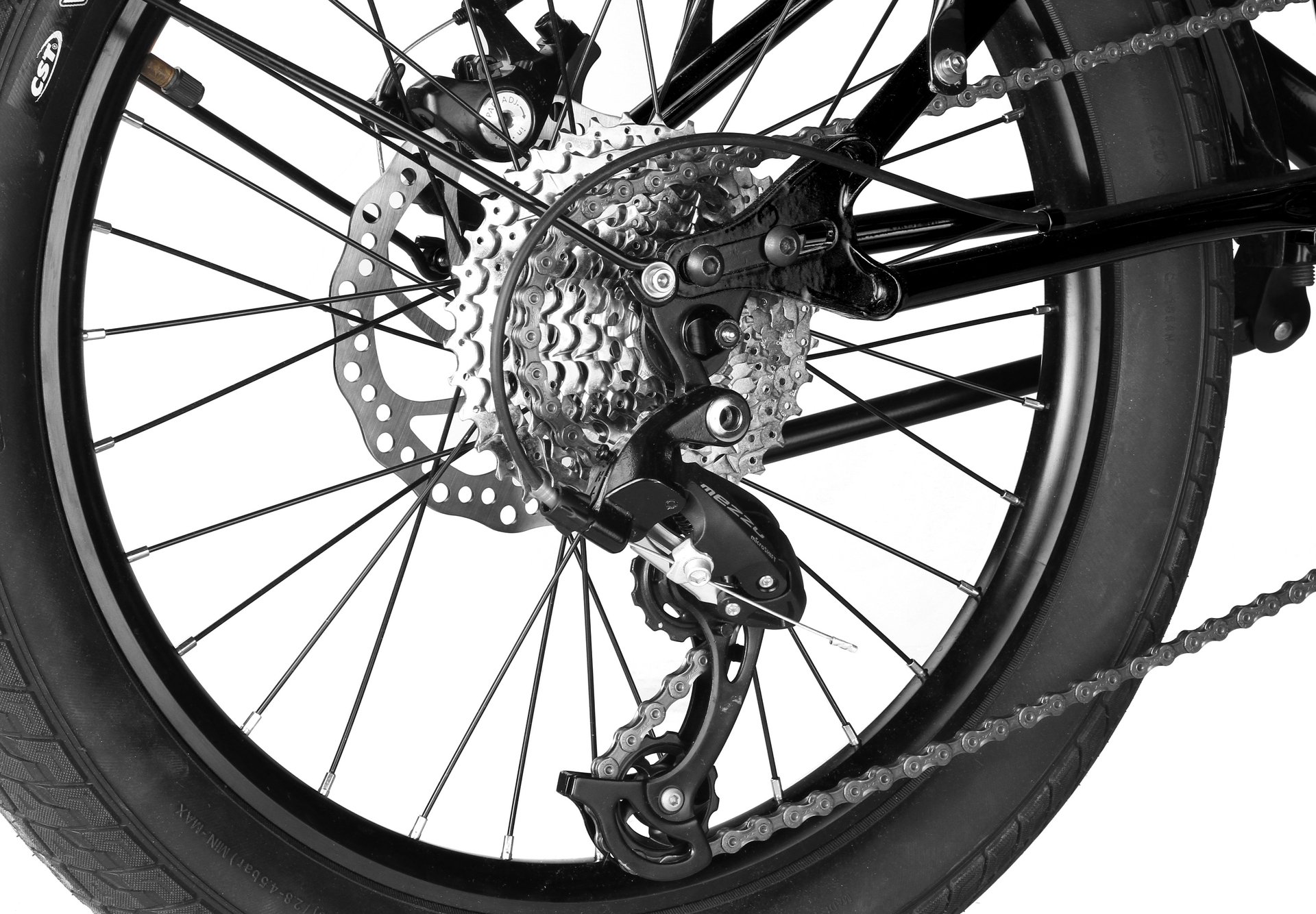 SHULZ Seaford 20 2020