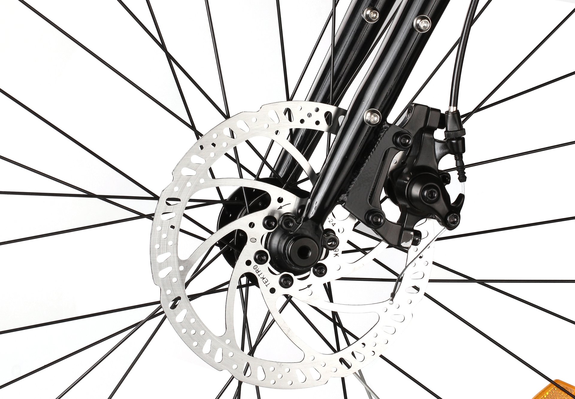 SHULZ Boys Don't Cry 2020