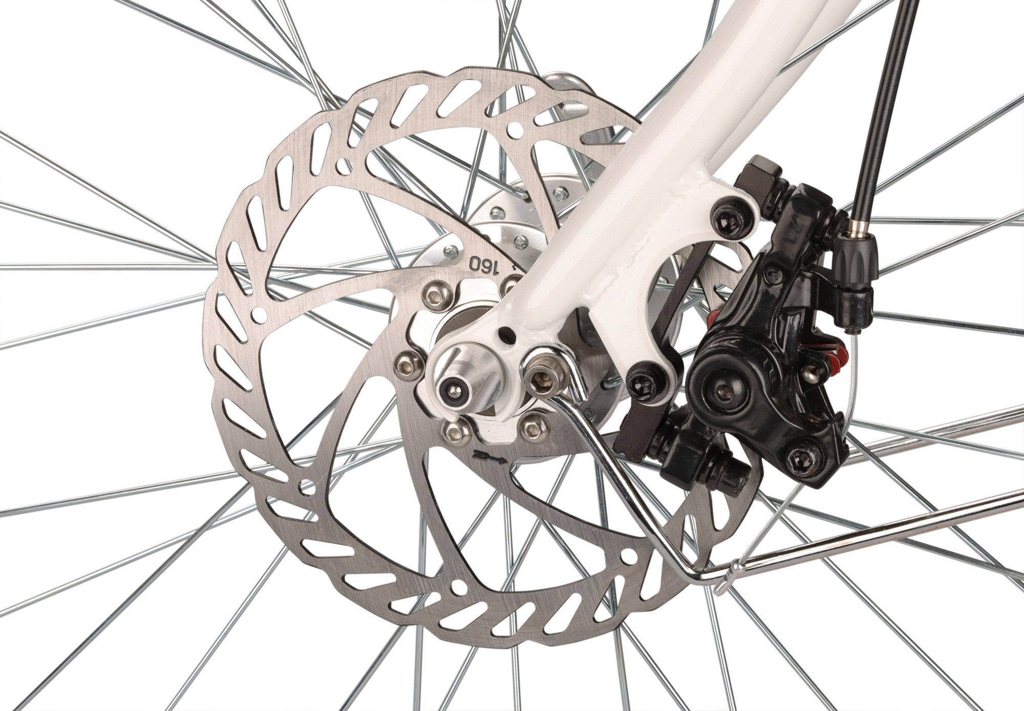 SHULZ Krabi Multi Disk 2021