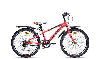 Аист Rocky Junior 1.0 2017