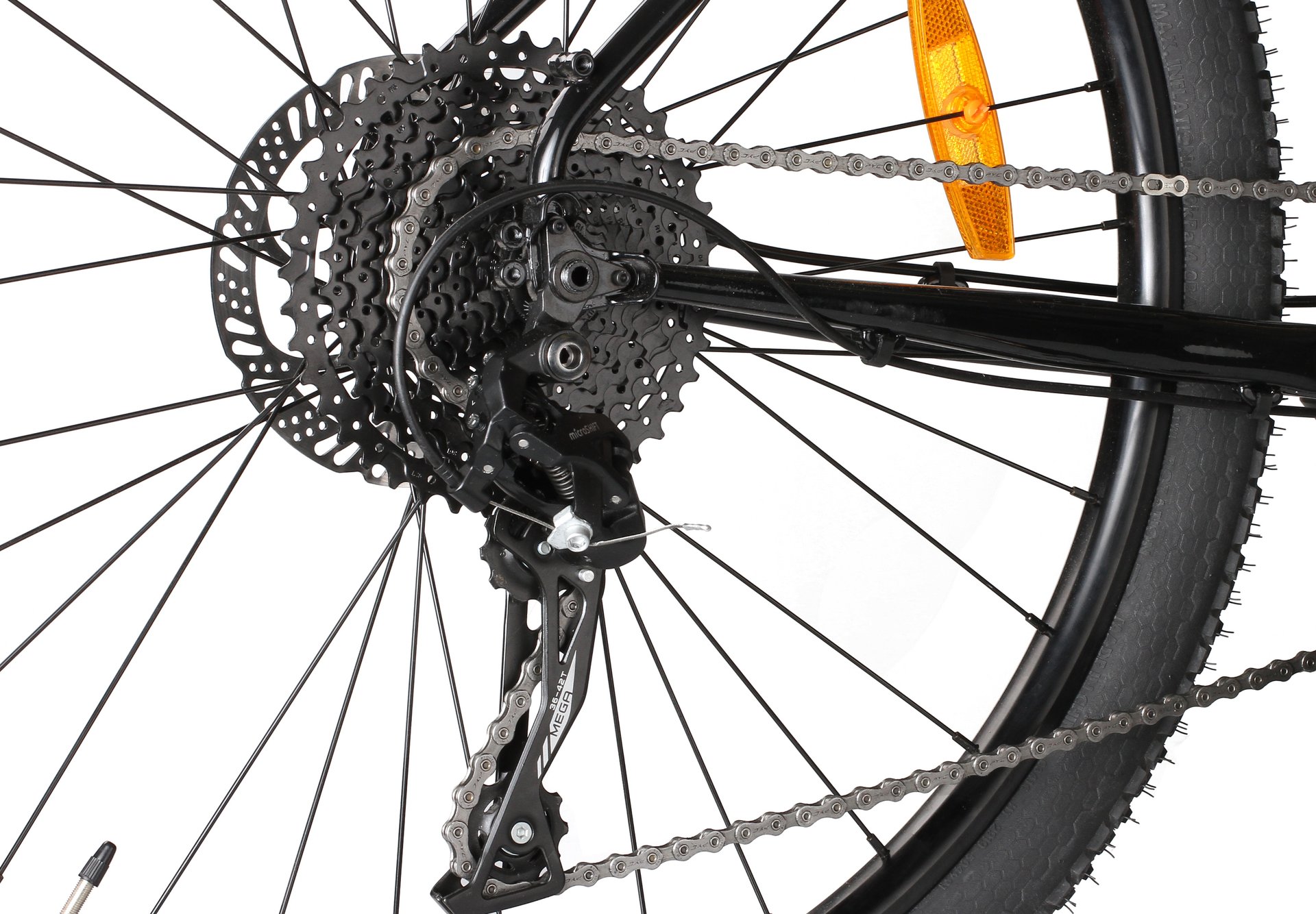 SHULZ Boys Don't Cry 2020