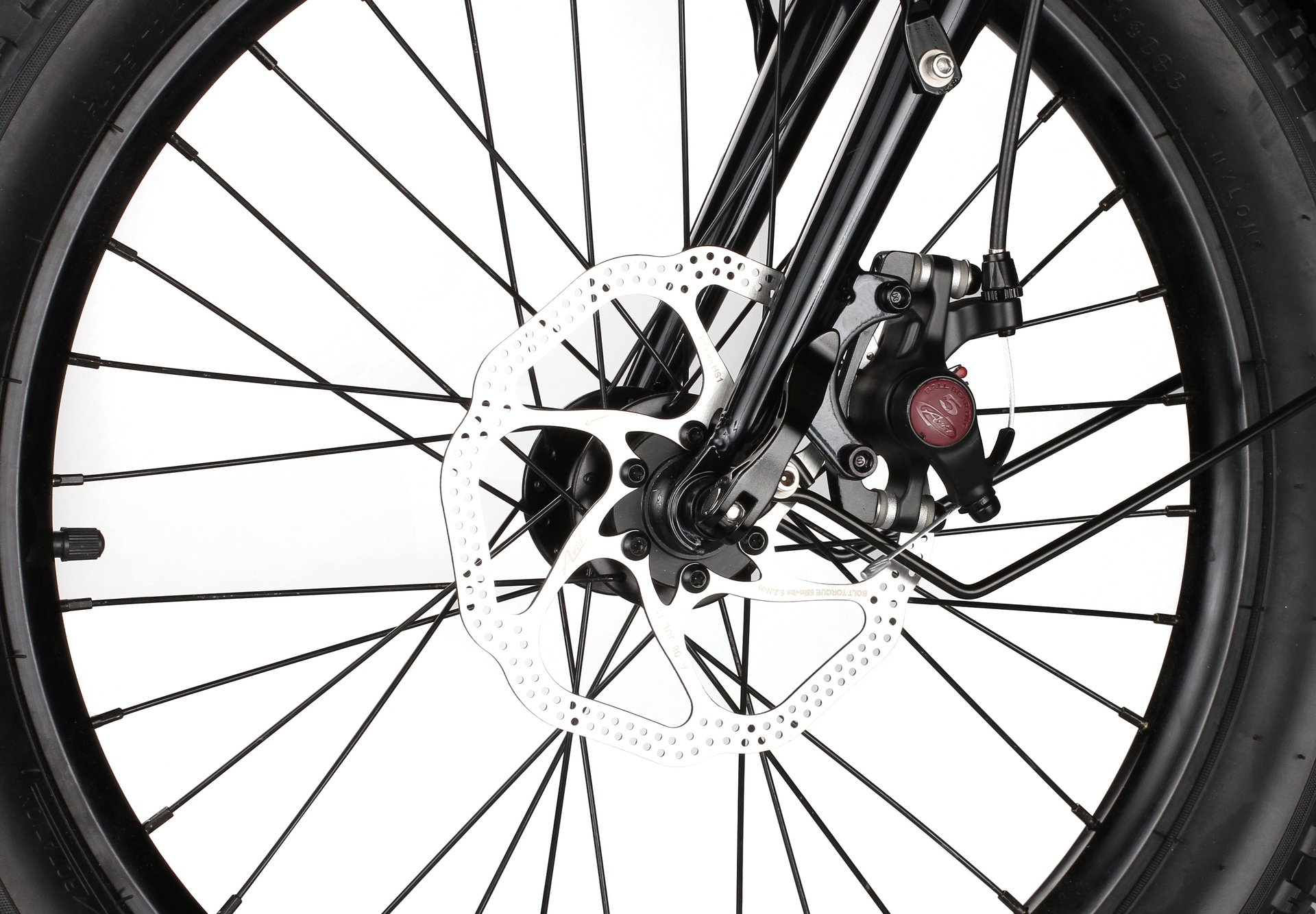 SHULZ Big Daddy 2020