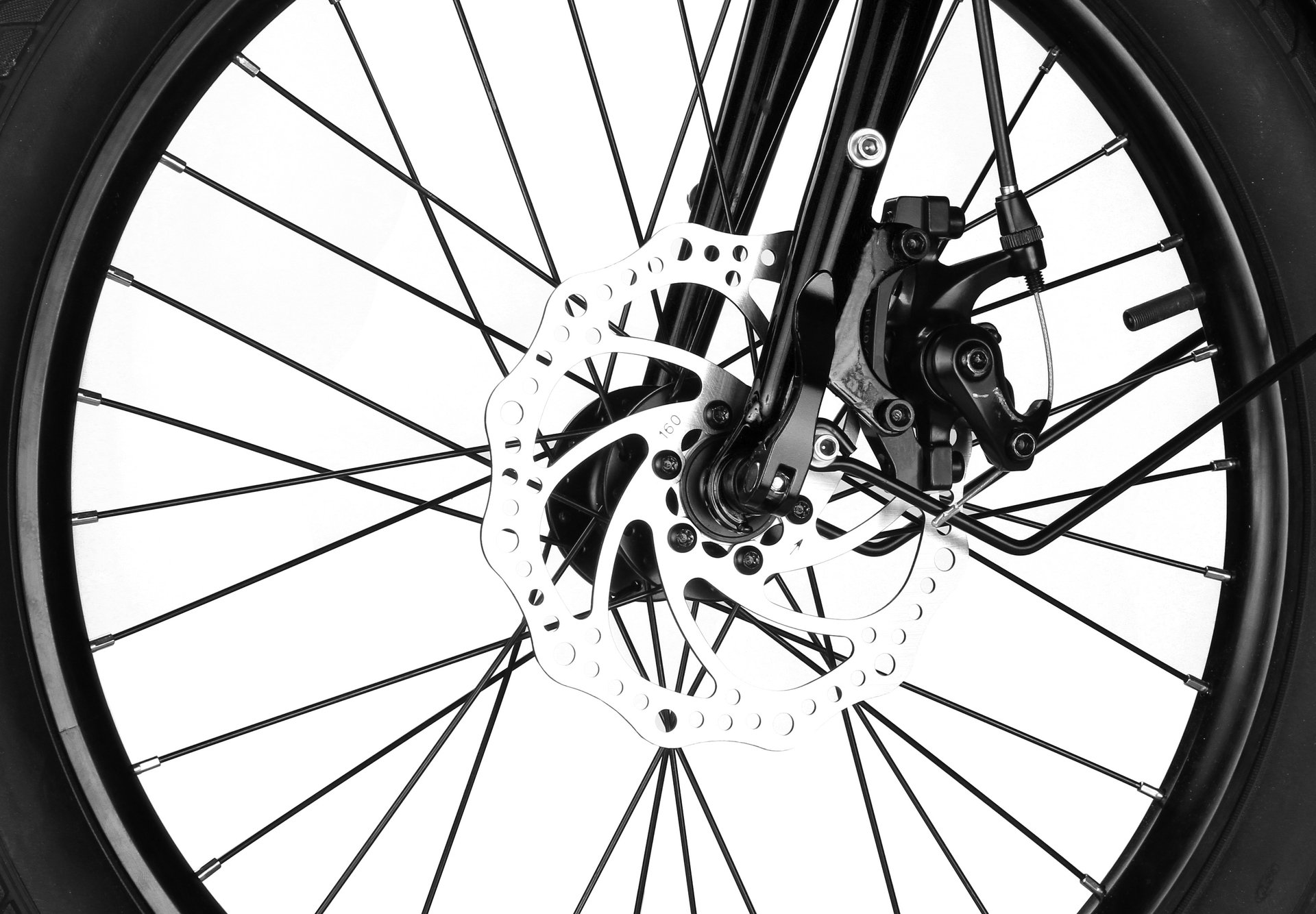 SHULZ Seaford 20 2020